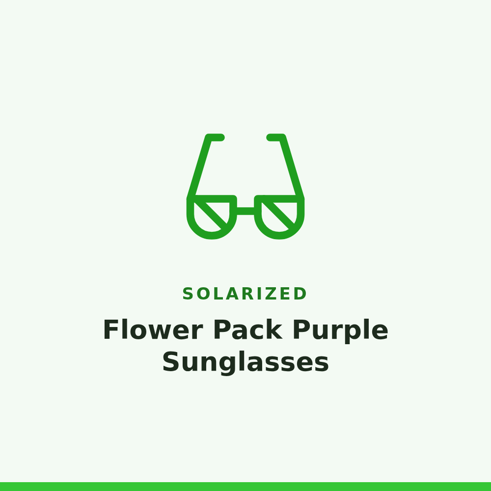 Solarized Flower Pack Purple Sunglasses 1 Pair