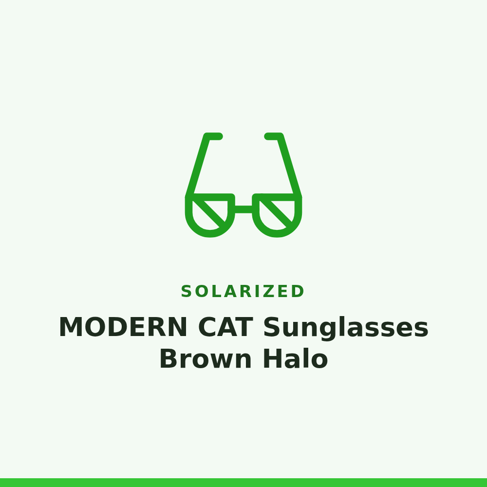 Solarized MODERN CAT Sunglasses Brown Halo 1 Pair